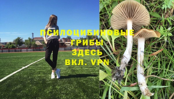 экстази Волоколамск